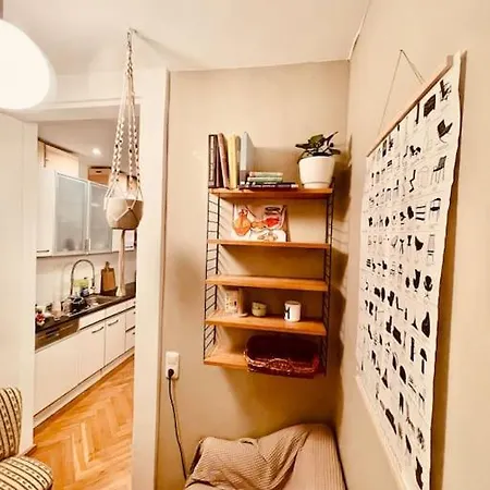 Apartment 18m2 Mit Jugendstil-charme Im Stadtzentrum