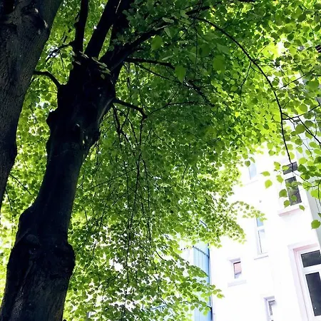18m2 Mit Jugendstil-charme Im Stadtzentrum *