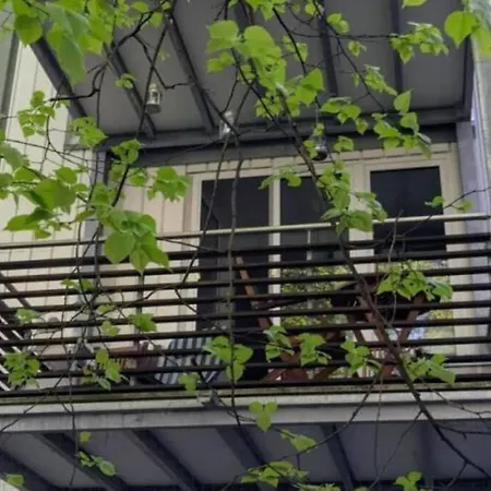 Apartment 18m2 Mit Jugendstil-charme Im Stadtzentrum *